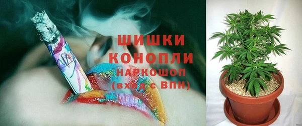 ГАЛЛЮЦИНОГЕННЫЕ ГРИБЫ Новодвинск