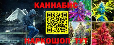 скорость Будённовск