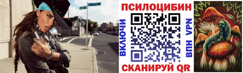 Псилоцибиновые грибы GOLDEN TEACHER  Кинешма 