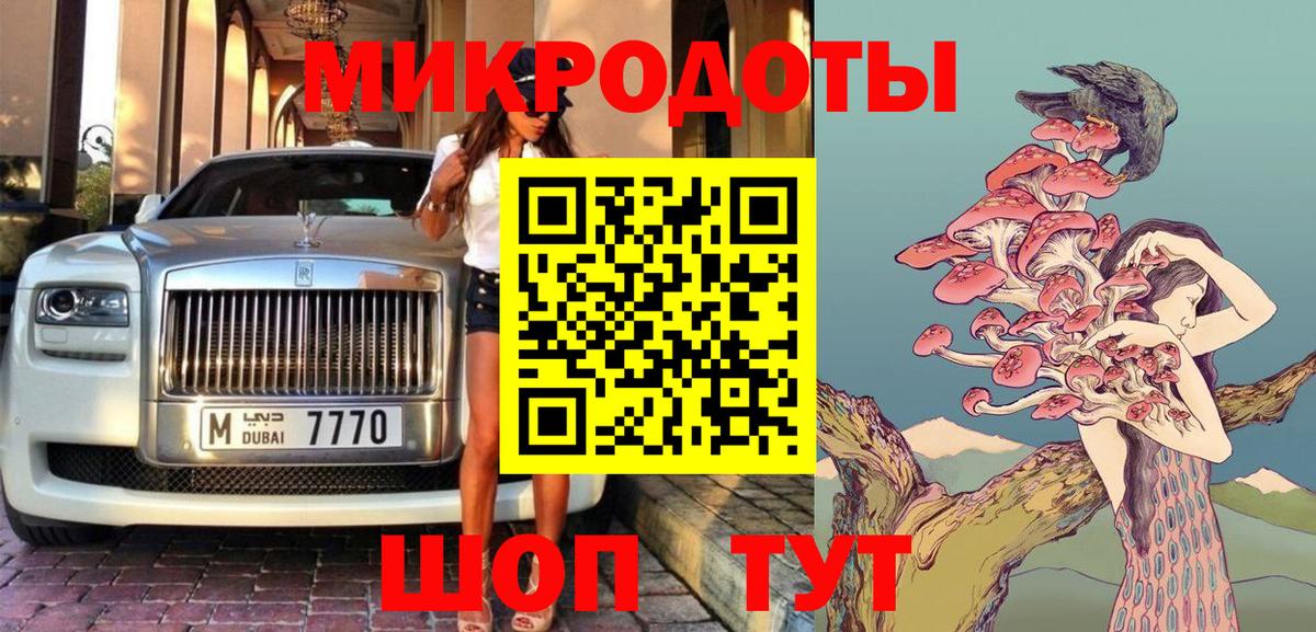 Галлюциногенные грибы Psilocybe Кинешма