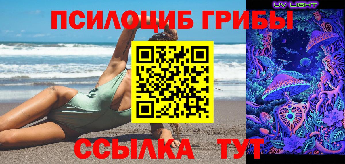 Галлюциногенные грибы Cubensis  Галлюциногенные грибы Psilocybe  Кинешма 