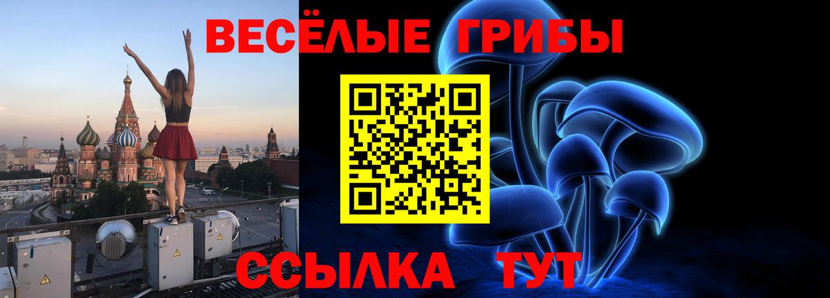 Псилоцибиновые грибы MAGIC MUSHROOMS Кинешма